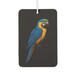 Black 4 Luxe Car Air Fresheners, Blue Yellow Macaw Autolufterfrischer