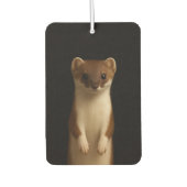 Black 4 Luxe Car Air Fresheners, Elegant Weasel Autolufterfrischer (Vorderseite)