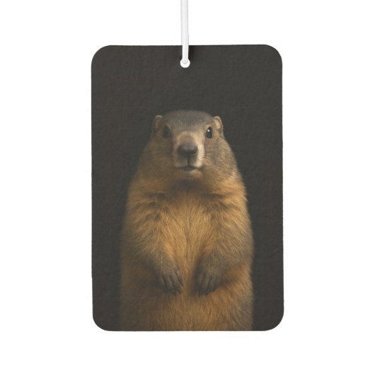 Black 4 Luxe Car Air Fresheners, Fluffy Marmot Autolufterfrischer (Vorderseite)
