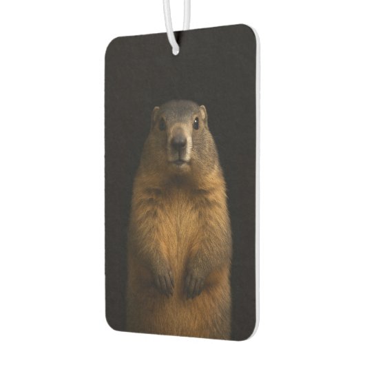 Black 4 Luxe Car Air Fresheners, Fluffy Marmot Autolufterfrischer (Links)