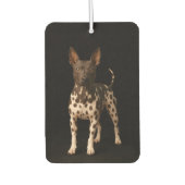 Black 4 Luxe Car Air Fresheners, Hairless Terrier Autolufterfrischer (Vorderseite)