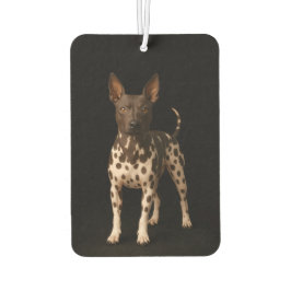 Black 4 Luxe Car Air Fresheners, Hairless Terrier Autolufterfrischer