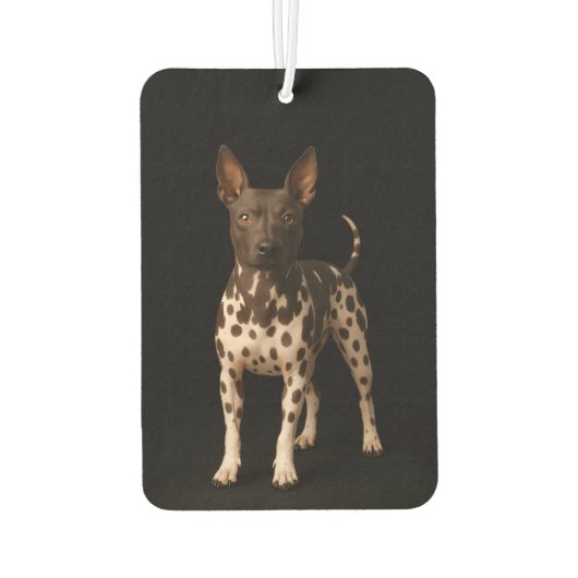Black 4 Luxe Car Air Fresheners, Hairless Terrier Autolufterfrischer (Rückseite)