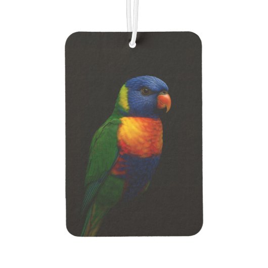 Black 4 Luxe Car Air Fresheners, Lorikeet Parrot Autolufterfrischer (Rückseite)