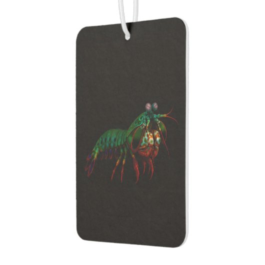 Black 4 Luxe Car Air Fresheners, Mantis Shrimp Autolufterfrischer (Links)