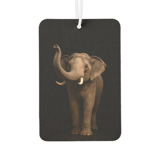 Black 4 Luxe Car Air Fresheners, Mighty Elephant Autolufterfrischer (Rückseite)
