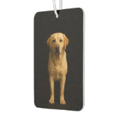 Black 4 Luxe Car Air Fresheners Minimal Labrador Autolufterfrischer (Links)