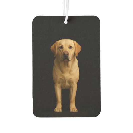 Black 4 Luxe Car Air Fresheners Minimal Labrador Autolufterfrischer (Rückseite)