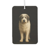 Black 4 Luxe Car Air Fresheners Mioritic Shepherd Autolufterfrischer (Vorderseite)