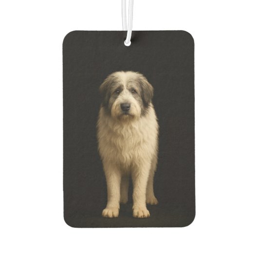 Black 4 Luxe Car Air Fresheners Mioritic Shepherd Autolufterfrischer (Rückseite)