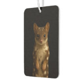 Black 4 Luxe Car Air Fresheners Sweet Quoll Autolufterfrischer (Links)