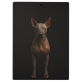 Black 4 Luxe Clipboard, Argentina Pila Dog Klemmbrett (Rückseite)