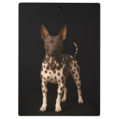 Black 4 Luxe Clipboard, Hairless Terrier Dog Klemmbrett (Rückseite)