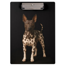 Black 4 Luxe Clipboard, Hairless Terrier Dog