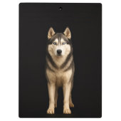 Black 4 Luxe Clipboard, Icy Elite Husky Klemmbrett (Rückseite)