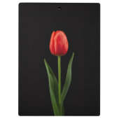 Black 4 Luxe Clipboard, Ruby Red Tulip Klemmbrett (Rückseite)