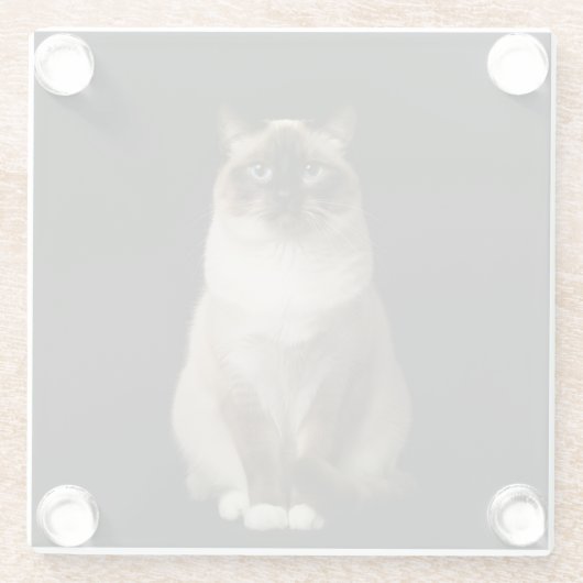 Black 4 Luxe Glass coaster, Birmanese Cat Glasuntersetzer (Rückseite)