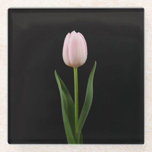 Black 4 Luxe Glass coaster, Blush Pink Tulip Glasuntersetzer (Vorderseite)