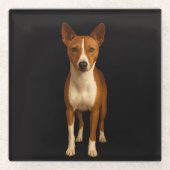 Black 4 Luxe Glass coaster, Classy Basenji Dog Glasuntersetzer (Vorderseite)