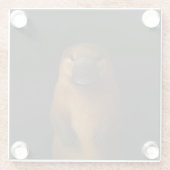 Black 4 Luxe Glass coaster, Elegant Platypus Glasuntersetzer (Rückseite)