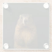 Black 4 Luxe Glass coaster, Fluffy Marmot Glasuntersetzer (Rückseite)