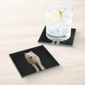 Black 4 Luxe Glass coaster, Ivory Arctic Wolf Glasuntersetzer (Schrägansicht)