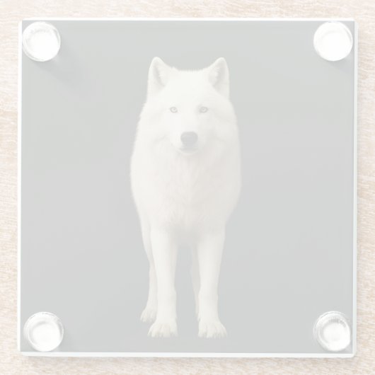 Black 4 Luxe Glass coaster, Ivory Arctic Wolf Glasuntersetzer (Rückseite)