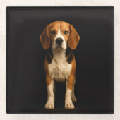 Black 4 Luxe Glass coaster, Kind Beagle Glasuntersetzer (Vorderseite)