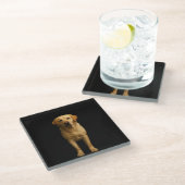 Black 4 Luxe Glass coaster, Minimalist Labrador Glasuntersetzer (Schrägansicht)