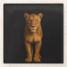 Black 4 Luxe Glass coaster, Noble Lioness