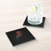 Black 4 Luxe Glass coaster, Reddish Egret Glasuntersetzer (Schrägansicht)