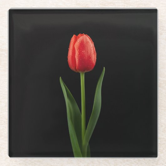 Black 4 Luxe Glass coaster, Ruby Red Tulip Glasuntersetzer (Vorderseite)