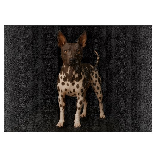 Black 4 Luxe Glass cutting board Hairless Terrier  Schneidebrett (Vorderseite)