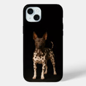 Black 4 Luxe, Hairless Terrier iPhone 15 Plus Case-Mate iPhone Hülle (Rückseite)