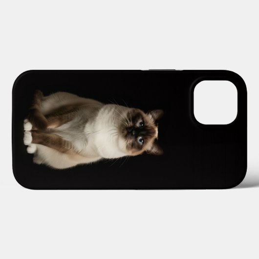 Black 4 Luxe iPhone 13, Birmanese Cat Case-Mate iPhone Hülle (Rückseite (Horizontal))
