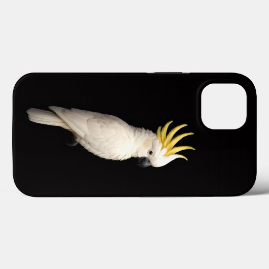 Black 4 Luxe iPhone 13, Sulphur Crested Cockatoo Case-Mate iPhone Hülle (Rückseite (Horizontal))
