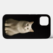 Black 4 Luxe iPhone 13, Turkish Angora Cat Case-Mate iPhone Hülle (Rückseite (Horizontal))
