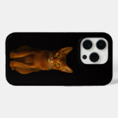 Black 4 Luxe iPhone 15 Pro Mate, Abyssinian Beauty Case-Mate iPhone Hülle (Rückseite (Horizontal))