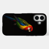 Black 4 Luxe iPhone 16 Case-Mate, Östliche Rosella Case-Mate iPhone Hülle (Rückseite (Horizontal))