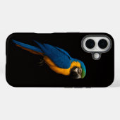 Black 4 Luxe iPhone 16 Mate, Blue Yellow Macaw Case-Mate iPhone Hülle (Rückseite (Horizontal))