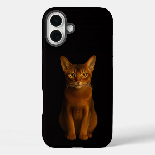 Black 4 Luxe iPhone 16 Plus, Abyssinian Beauty Case-Mate iPhone Hülle (Rückseite)