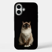 Black 4 Luxe iPhone 16 Plus, Birmanese Cat Case-Mate iPhone Hülle (Rückseite)