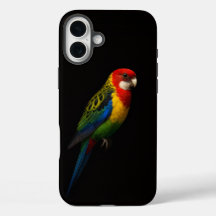 Black 4 Luxe iPhone 16 Plus, Eastern Rosella