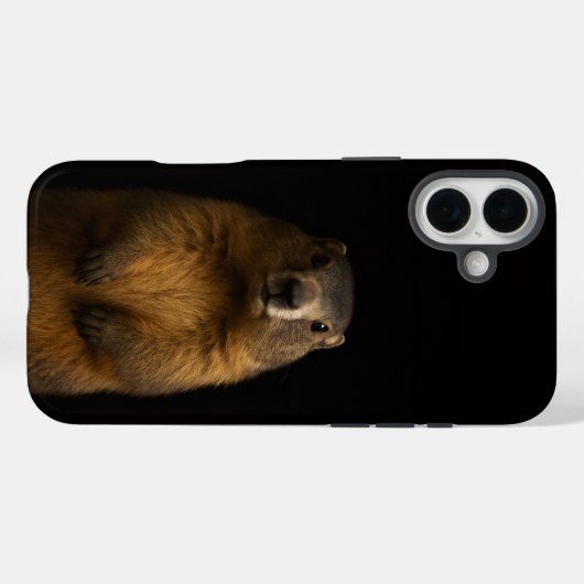 Black 4 Luxe iPhone 16 Plus, Fluffy Marmot Case-Mate iPhone Hülle (Rückseite (Horizontal))