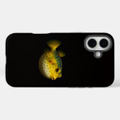 Black 4 Luxe iPhone 16 Plus, Yellow Putterfish Case-Mate iPhone Hülle (Rückseite (Horizontal))