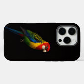 Black 4 Luxe iPhone 16 Pro, Eastern Rosella Case-Mate iPhone Hülle (Rückseite (Horizontal))