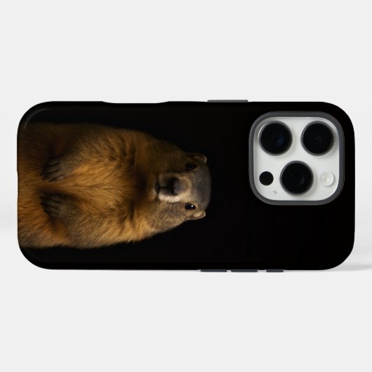 Black 4 Luxe iPhone 16 Pro, Fluffy Marmot Case-Mate iPhone Hülle (Rückseite (Horizontal))