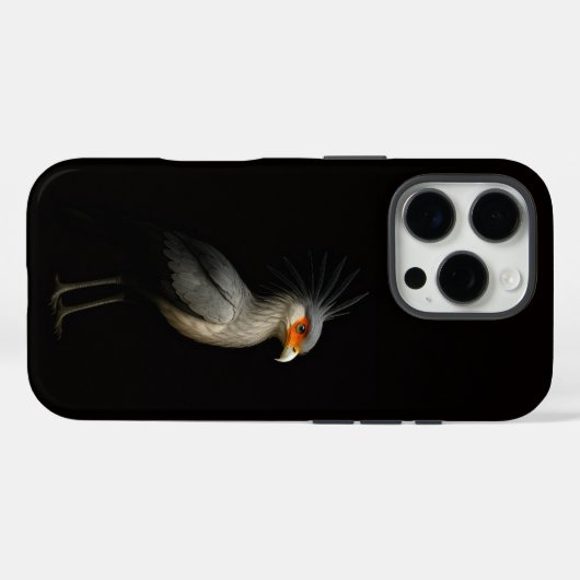 Black 4 Luxe iPhone 16 Pro, Secretarybird Case-Mate iPhone Hülle (Rückseite (Horizontal))