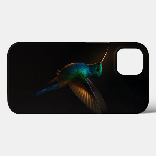 Black 4 Luxe iPhone Case, Blue-Golden Hummingbird Case-Mate iPhone Hülle (Rückseite (Horizontal))