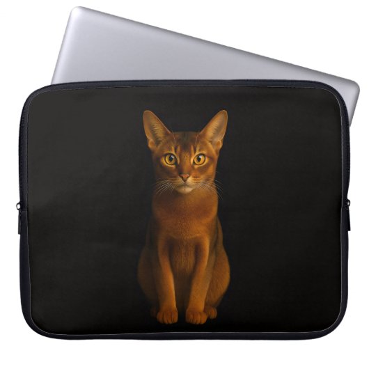 Black 4 Luxe Laptop Sleeve, Abyssinian Beauty Laptopschutzhülle (Vorderseite)